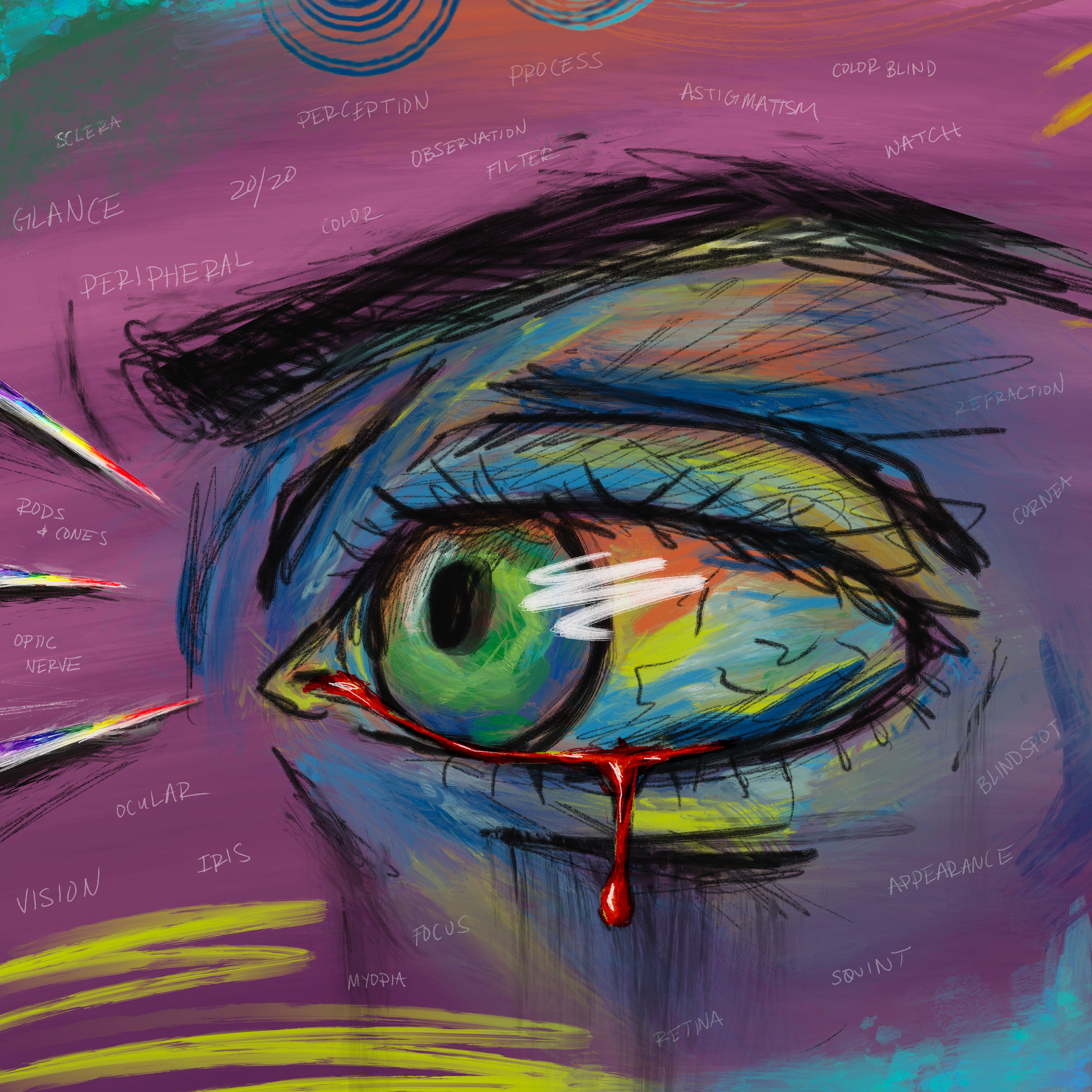 Five Senses — eye study