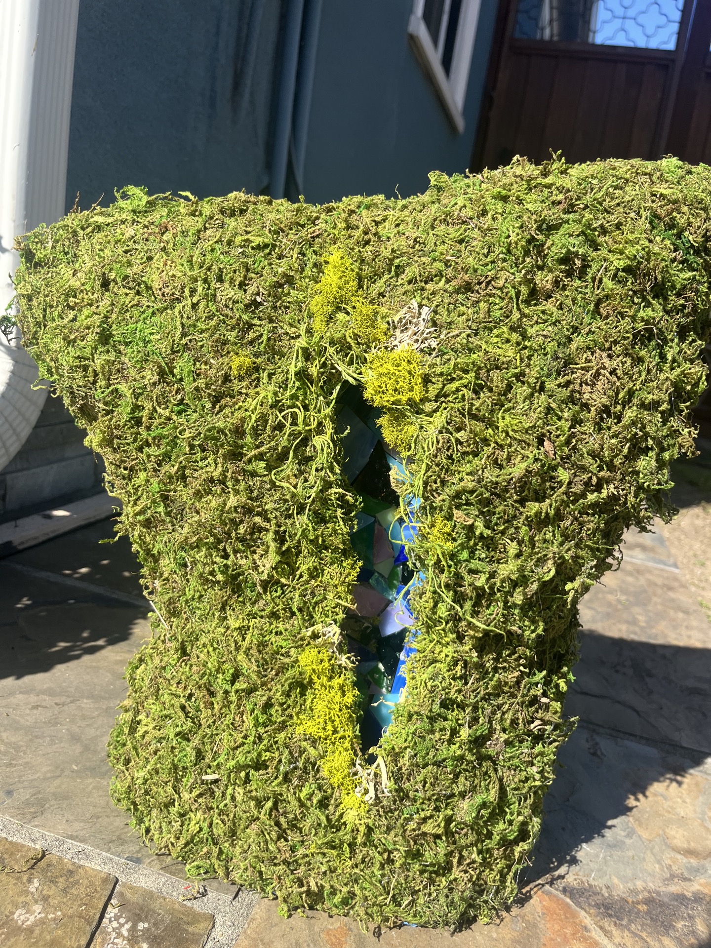 Moss 3