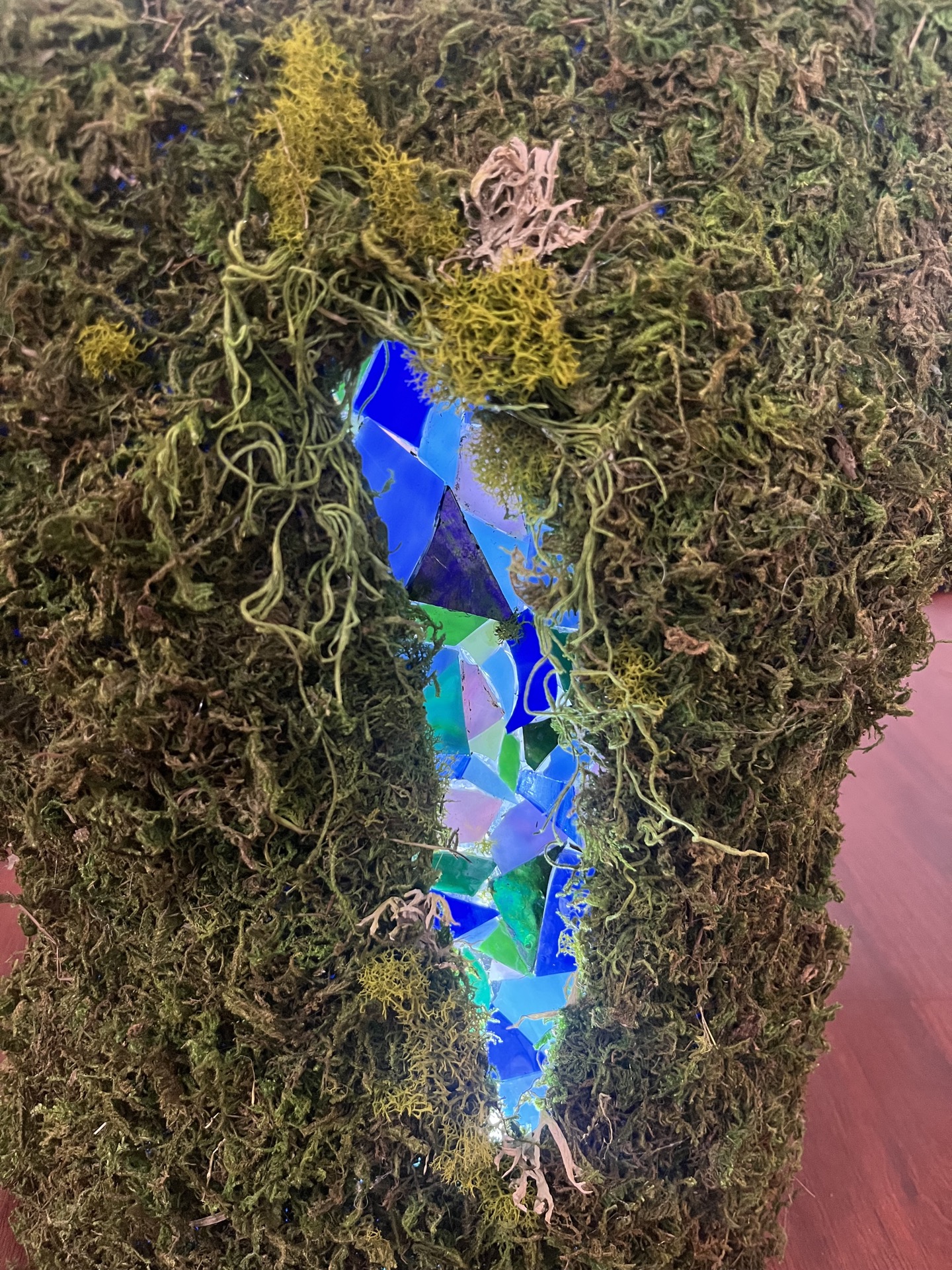 Moss 4