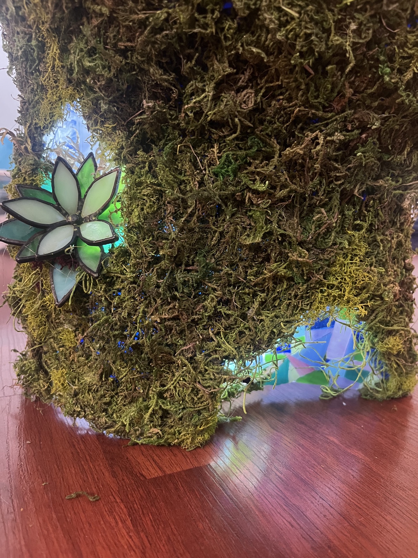 Moss 5